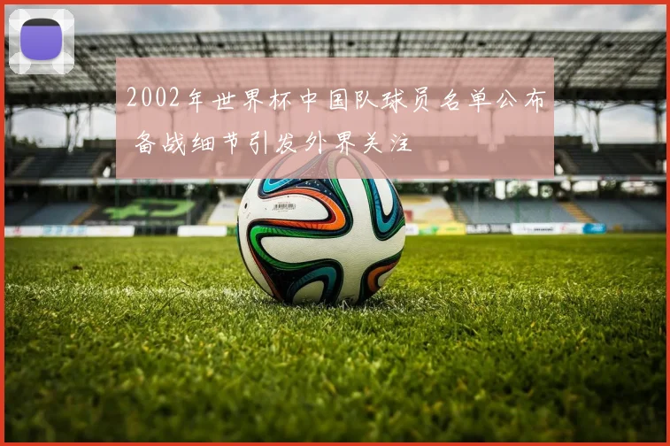 2002年世界杯中国队球员名单公布 备战细节引发外界关注