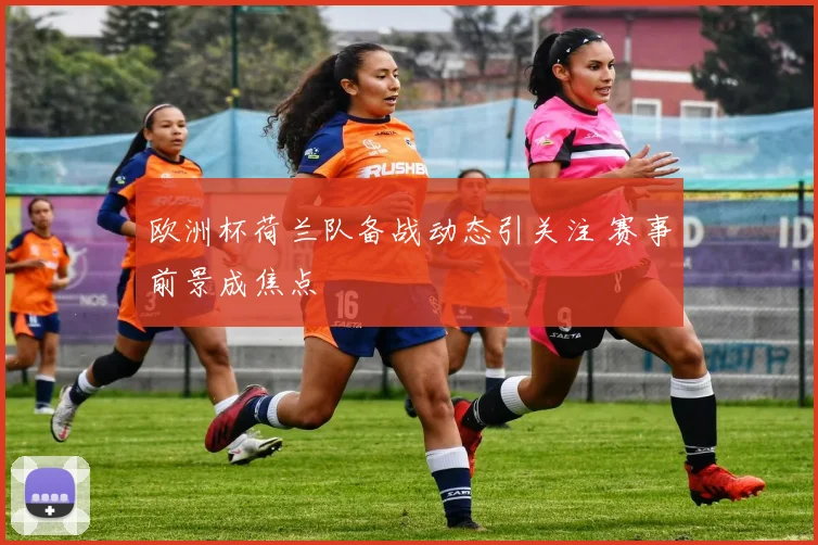 欧洲杯荷兰队备战动态引关注 赛事前景成焦点