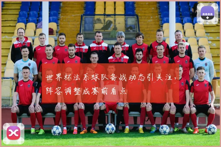 世界杯法系球队备战动态引关注，阵容调整成赛前看点