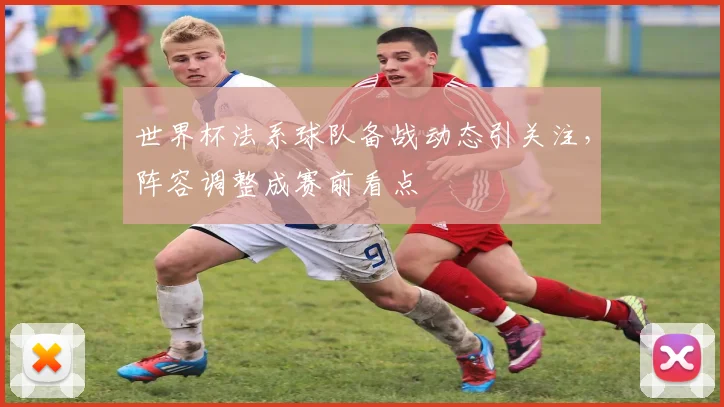 世界杯法系球队备战动态引关注，阵容调整成赛前看点