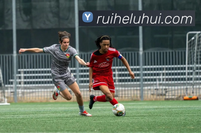 App Interface Preview