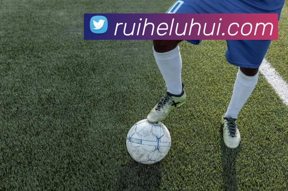 乐竞官网首页登录入口APP 封面图